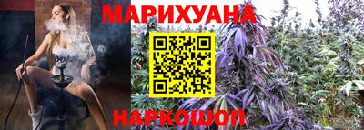 стаф Кингисепп