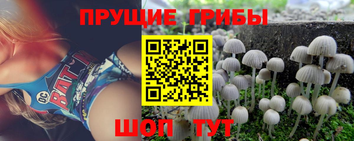 Псилоцибиновые грибы Cubensis  Вход с VPN  Лесосибирск 
